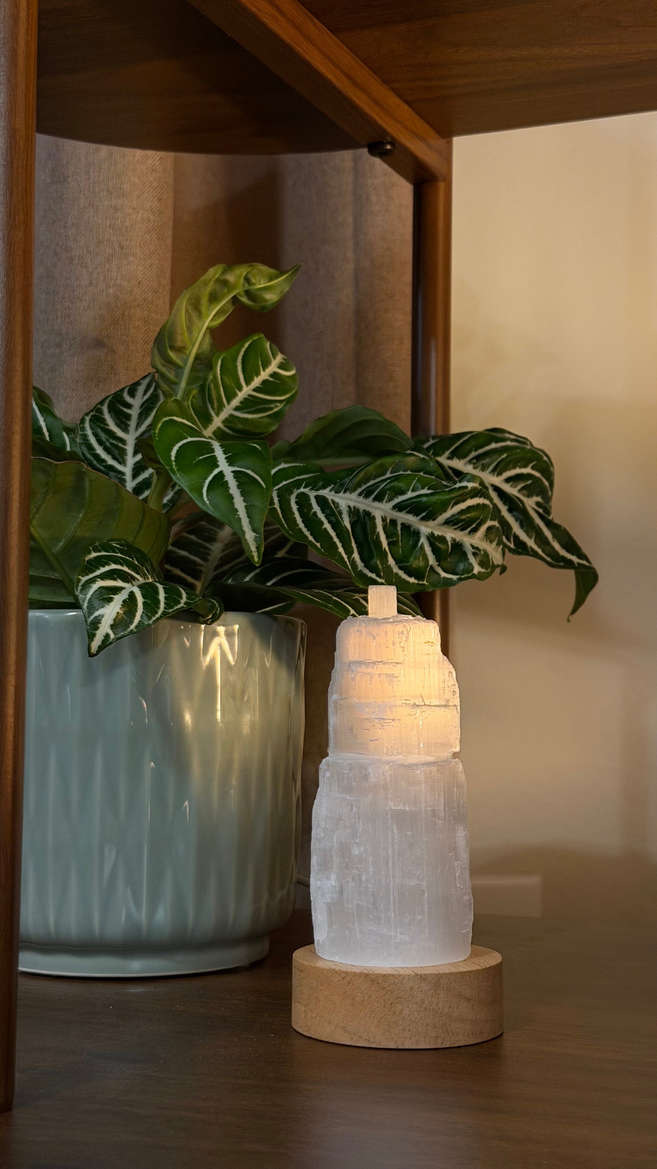 3” Selenite Lamp