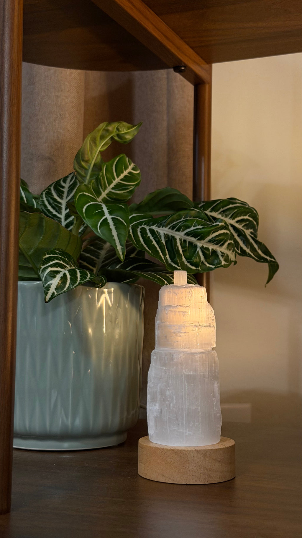 3” Selenite Lamp