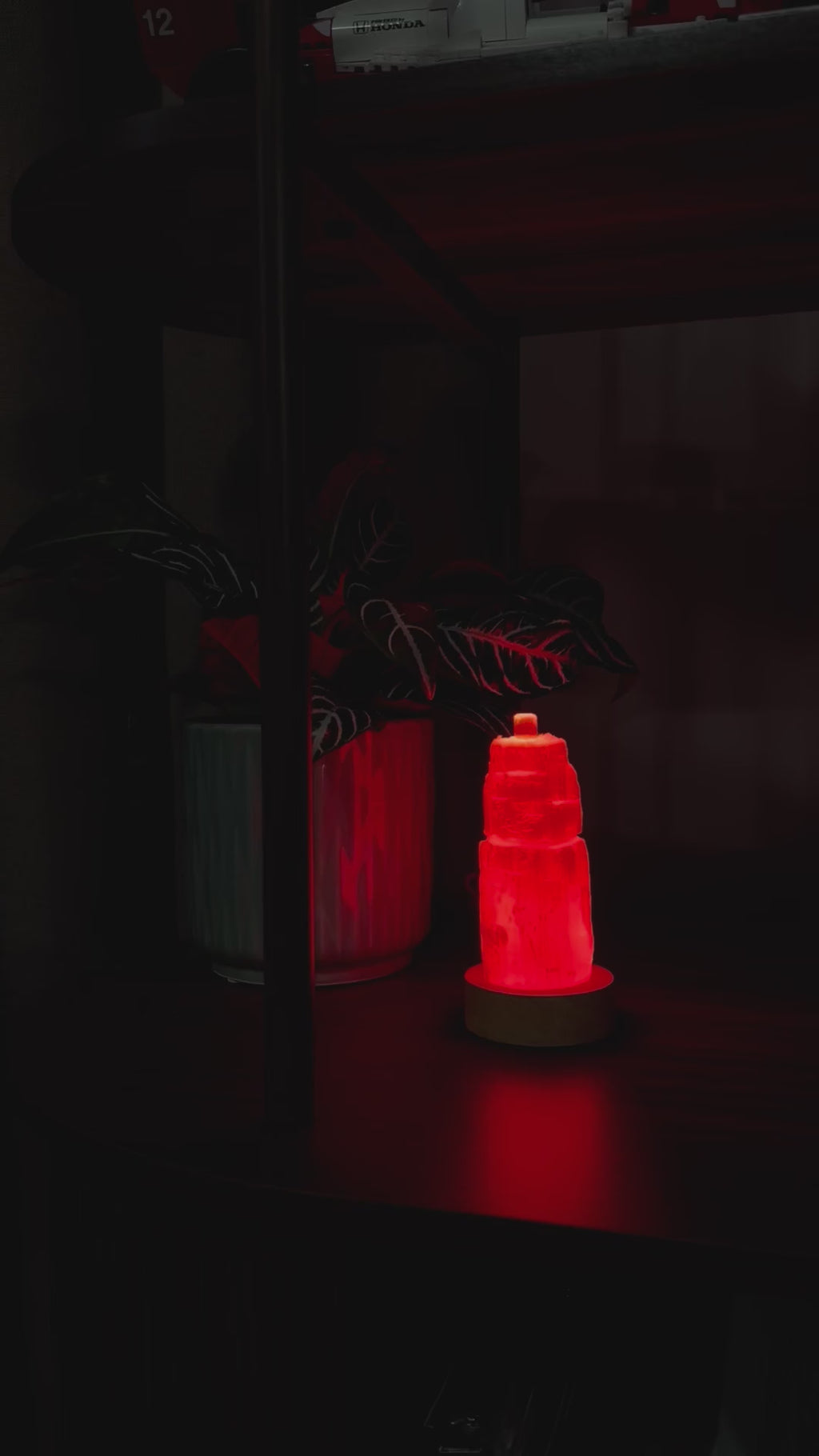 3” Selenite Lamp